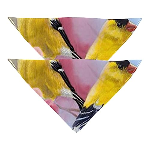 Haustierbandana für kleine mittelgroße Hunde und Katzen,Blüten Frühling Baum Blume Vogel Zweig,Hunde-Bandanas,2er-Pack,Katzen-Lätzchen,Haustierschal von suojapuku