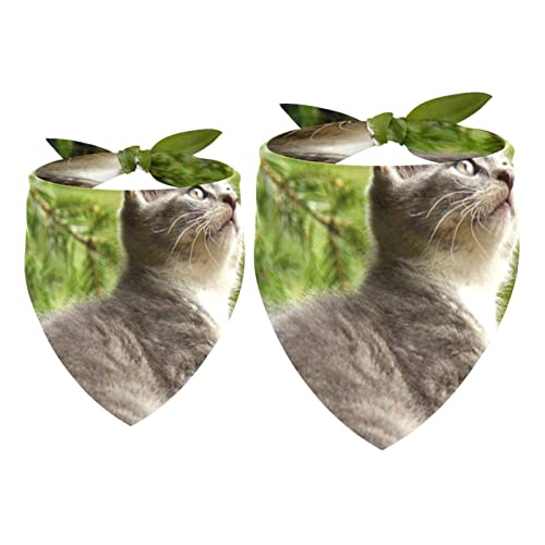 Haustierbandana für kleine mittelgroße Hunde und Katzen,Dschungel-Kratzbaum,Haustierbandana für kleine mittelgroße Hunde und Katzen Haustierbandana für kleine mittelgroße Hunde und Katzen,Dschungel-Kratzbaum,Haustierbandana für kleine mittelgroße Hunde und Katzen von suojapuku