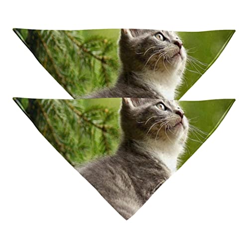 Haustierbandana für kleine mittelgroße Hunde und Katzen,Dschungel-Kratzbaum,Hunde-Bandanas,2er-Pack,Katzen-Lätzchen,Haustierschal Haustierbandana für kleine mittelgroße Hunde und Katzen,Dschungel-Kratzbaum,Hunde-Bandanas,2er-Pack,Katzen-Lätzchen,Haustierschal von suojapuku
