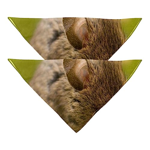 Haustierbandana für kleine mittelgroße Hunde und Katzen,Maus und Wald,Hunde-Bandanas,2er-Pack,Katzen-Lätzchen,Haustierschal Haustierbandana für kleine mittelgroße Hunde und Katzen,Maus und Wald,Hunde-Bandanas,2er-Pack,Katzen-Lätzchen,Haustierschal von suojapuku
