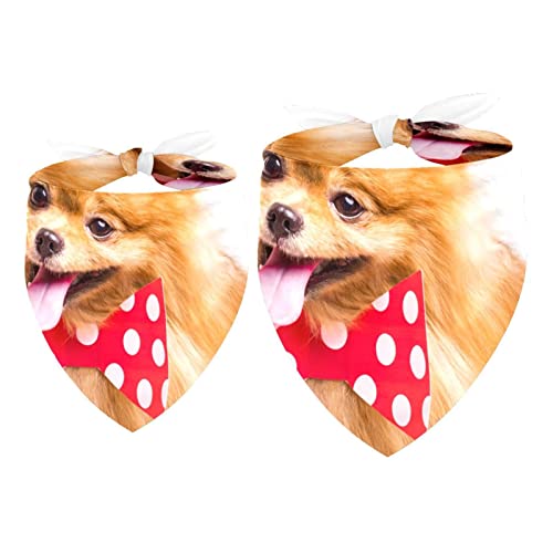 Haustierbandana für kleine mittelgroße Hunde und Katzen,Papillon-Hund, süßes Haustier,Haustierbandana für kleine mittelgroße Hunde und Katzen Haustierbandana für kleine mittelgroße Hunde und Katzen,Papillon-Hund, süßes Haustier,Haustierbandana für kleine mittelgroße Hunde und Katzen von suojapuku