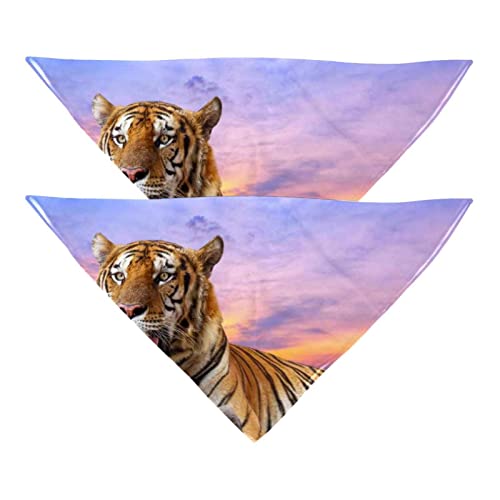 Haustierbandana für kleine mittelgroße Hunde und Katzen,Tiger-Sonnenuntergang,Hunde-Bandanas,2er-Pack,Katzen-Lätzchen,Haustierschal von suojapuku