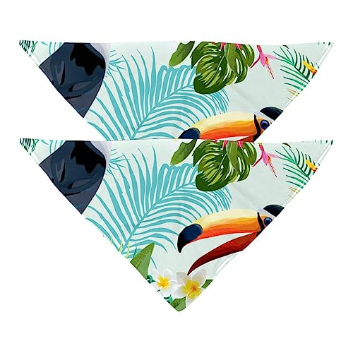 Haustierbandana für kleine mittelgroße Hunde und Katzen,Tropische Blumen, Vögel, Tukane,Hunde-Bandanas,2er-Pack,Katzen-Lätzchen,Haustierschal von suojapuku