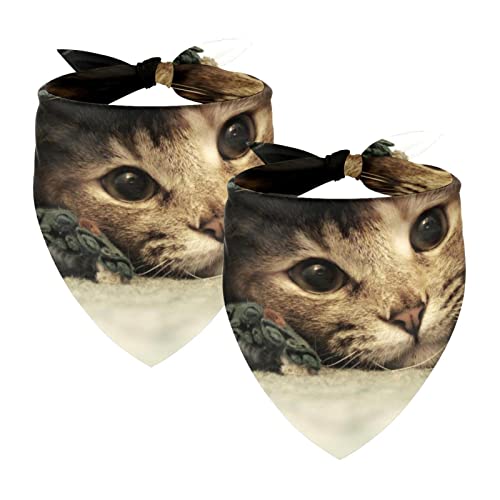 Hundebandanas,Dreieckslätzchen 2 Stück,Bett Süße Katze,Bandana für große Hunde und Katzen Hundebandanas,Dreieckslätzchen 2 Stück,Bett Süße Katze,Bandana für große Hunde und Katzen von suojapuku