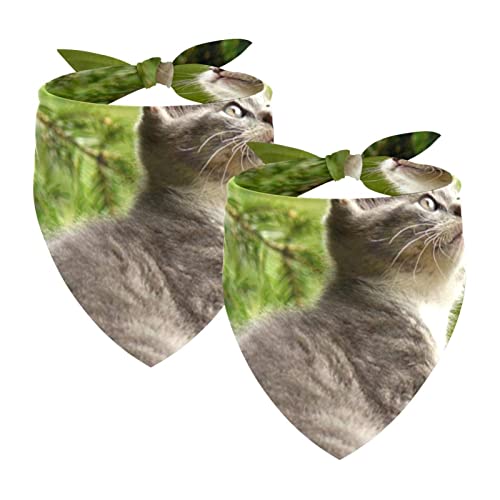 Hundebandanas,Dreieckslätzchen 2 Stück,Dschungel-Kratzbaum,Bandana für große Hunde und Katzen Hundebandanas,Dreieckslätzchen 2 Stück,Dschungel-Kratzbaum,Bandana für große Hunde und Katzen von suojapuku
