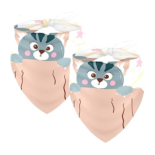 Hundebandanas,Dreieckslätzchen 2 Stück,Katze in einem Korb,Bandana für große Hunde und Katzen Hundebandanas,Dreieckslätzchen 2 Stück,Katze in einem Korb,Bandana für große Hunde und Katzen von suojapuku