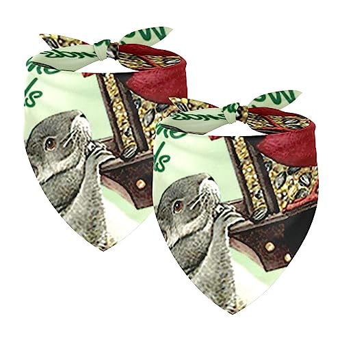 Hundebandanas,Dreieckslätzchen 2 Stück,Willkommen Freunde Tier Vogel,Bandana für große Hunde und Katzen Hundebandanas,Dreieckslätzchen 2 Stück,Willkommen Freunde Tier Vogel,Bandana für große Hunde und Katzen von suojapuku
