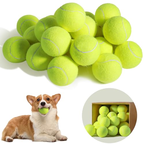 susu & wuwu Tennisbälle für Hunde, 6,3 cm, Gelb, Tennisballwerfer kompatibel, Hundebälle zum Apportieren und Spielen, langlebig und federnd, Tennisbälle für Hunde, Hundespielzeug, 36 Stück von susu & wuwu