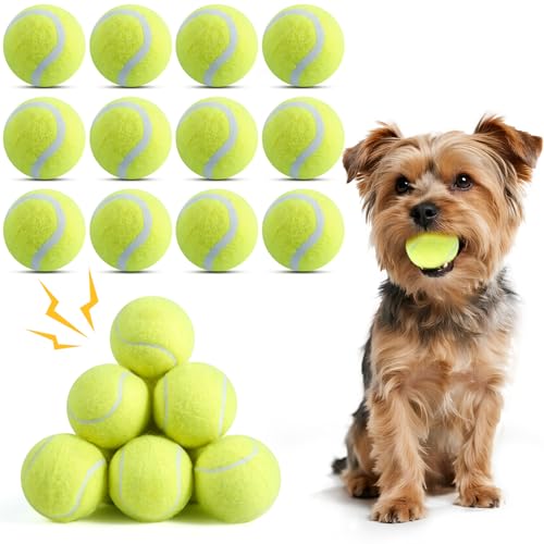 susu & wuwu Quietschbälle für kleine Hunde, 5,1 cm, kleine Tennisbälle, interaktives Apportier-Hundespielzeug, ungiftig, langlebig, Kauspielzeug für Welpen, zum Zahnen, Training, Spielen, Werfen, 12 von susu & wuwu