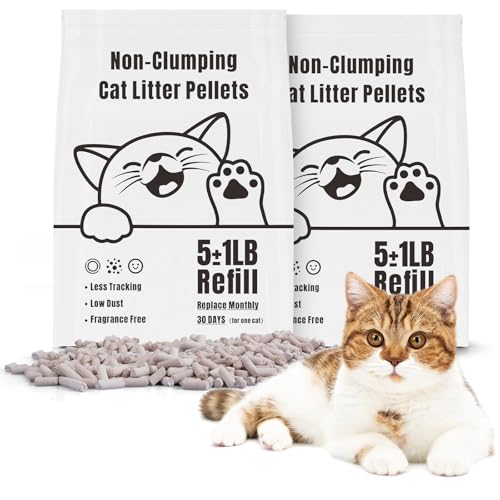SuzziPaws Katzenstreu, nicht klumpend, 2,3 kg Nachfüllpackung, 2 Stück SuzziPaws Katzenstreu, nicht klumpend, 2,3 kg Nachfüllpackung, 2 Stück von suzzipaws