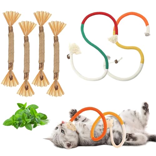 svpfuo 6 Stück Katzenspielzeug, Katzen Spielzeug, Katzenminze Spielzeug, Kauspielzeug Katze, es Eignet Sich für die Zahnpflege von Katzen, das Zähneputzen und das Spielen(4 Beißringe+2 Beißseile) von svpfuo