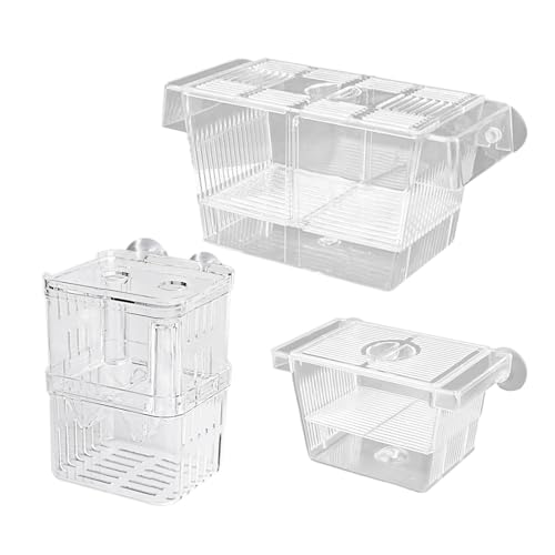 Fischzüchtung - Acryl -Brüterei -Inkubatortank | Isolationsboxen Für Babyfische | Bruttrennungstank | Inkubator -Züchterbox Für Verletzte Brüterlungen Mutterfische Fischzüchtung - Acryl -Brüterei -Inkubatortank | Isolationsboxen Für Babyfische | Bruttrennungstank | Inkubator -Züchterbox Für Verletzte Brüterlungen Mutterfische von syayw