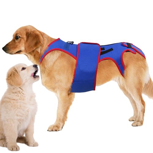 Hunde Hüftstütze Klammer - Hude Rückenstütze Für Kleine Hude | D Ring Reflexionsstreifen | Pet Back Bracer Für IVDD -Hund, Arthrits, Hilde Für Die Ausrichtung Der Wirbelsäulen, Hintergrundunterstüt Hunde Hüftstütze Klammer - Hude Rückenstütze Für Kleine Hude | D Ring Reflexionsstreifen | Pet Back Bracer Für IVDD -Hund, Arthrits, Hilde Für Die Ausrichtung Der Wirbelsäulen, Hintergrundunterstüt von syayw