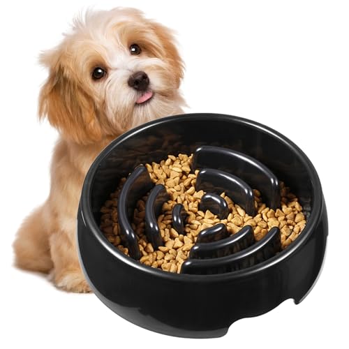 Langsame Lebensmittelschalen - Langsame Essensschale Für Hunde | Anti-Establishment Gamelles | Leidenprävention | Nicht -Slip -interaktive Schalen Für Welpen Und Kleine Katzen Langsame Lebensmittelschalen - Langsame Essensschale Für Hunde | Anti-Establishment Gamelles | Leidenprävention | Nicht -Slip -interaktive Schalen Für Welpen Und Kleine Katzen von syayw