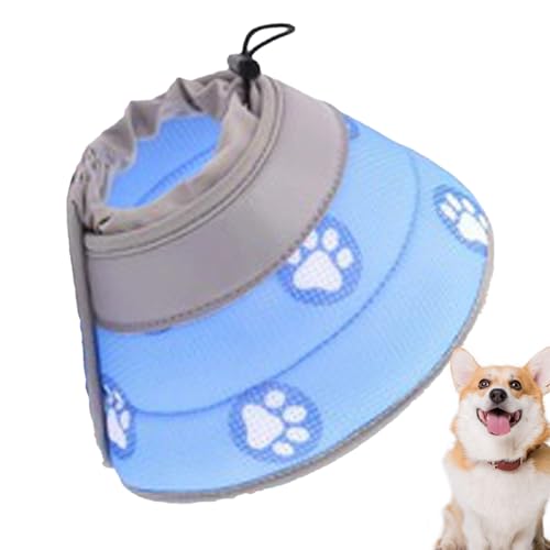 Syayw Recovery Pet Cone | Verstellbare Wundheilungshalsabdeckung | Weicher Atmungsaktierbarer Katzenhalskegel, Schutzharbig, Katzenwiederherstellungskragen Für Kätzchen Und Welpen Syayw Recovery Pet Cone | Verstellbare Wundheilungshalsabdeckung | Weicher Atmungsaktierbarer Katzenhalskegel, Schutzharbig, Katzenwiederherstellungskragen Für Kätzchen Und Welpen von syayw