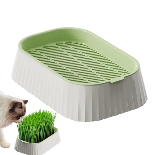 syayw Katzentoilette für den Innenbereich | Bio-Katzen-Anzuchtschale – Hydrokultur-Behälter mit doppelter Schicht, Pflanzwerkzeuge, Baumschule für Keimung syayw Katzentoilette für den Innenbereich | Bio-Katzen-Anzuchtschale – Hydrokultur-Behälter mit doppelter Schicht, Pflanzwerkzeuge, Baumschule für Keimung von syayw