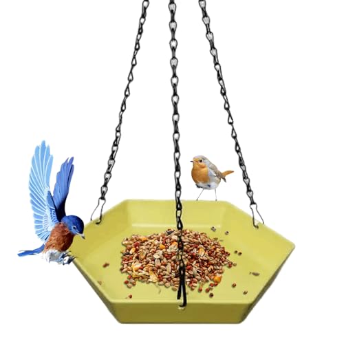 syayw Vogeltränke für Garten – Polygonales Tablett für Wellensittiche – Wasserschale zum Aufhängen, Gartendekoration für , Terrasse, Hinterhof, Ornithologie, Innenbereich, Terrasse, Ponton von syayw