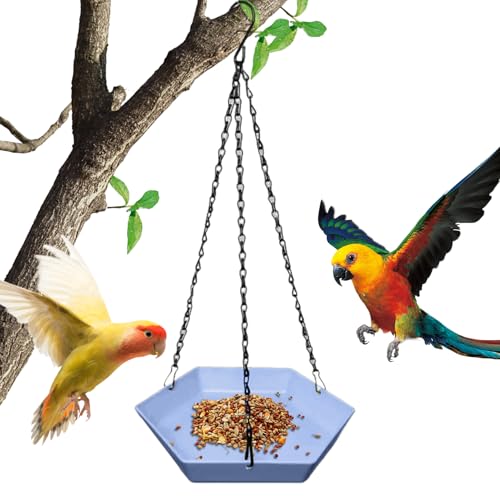 syayw Vogeltränke für den Garten – Spender für den Außenbereich, Polygonal | Hängende Tränke für den Außenbereich, für Balkon, Terrasse, Garten, Park, Familie syayw Vogeltränke für den Garten – Spender für den Außenbereich, Polygonal | Hängende Tränke für den Außenbereich, für Balkon, Terrasse, Garten, Park, Familie von syayw