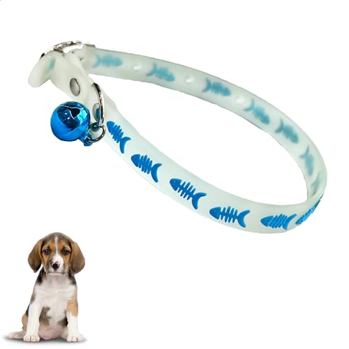 Syiyunran Hund Leuchthalsband Leuchtend - Weiß Halsband Für Hunde Einstellbare mit Sicherheitsverschluss Fluoreszierend Ihren in der Nacht Leuchtendes Kieselerde Wasserdichtes Geeignet Kleine Mittlere Syiyunran Hund Leuchthalsband Leuchtend - Weiß Halsband Für Hunde Einstellbare mit Sicherheitsverschluss Fluoreszierend Ihren in der Nacht Leuchtendes Kieselerde Wasserdichtes Geeignet Kleine Mittlere von syiyunran