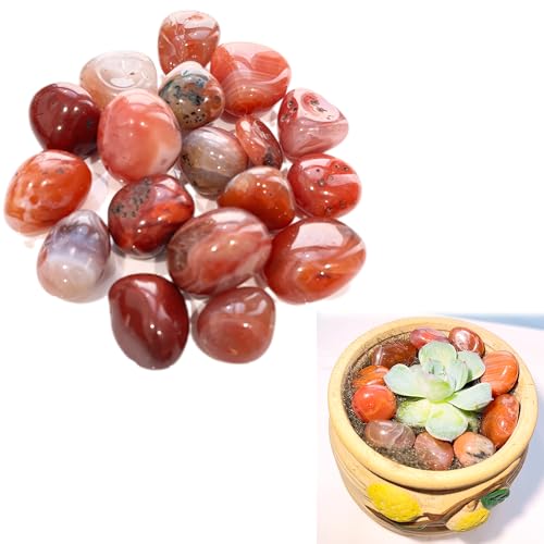 syiyunran Steine Trommelsteine Kieselsteine Edelsteine Dekosteine - Rot, 100g, Zierkies Achat Kristall Halbedelsteine, für Aquarium Pflanzer Schatzsuche Schmuckherstellung Dekorative syiyunran Steine Trommelsteine Kieselsteine Edelsteine Dekosteine - Rot, 100g, Zierkies Achat Kristall Halbedelsteine, für Aquarium Pflanzer Schatzsuche Schmuckherstellung Dekorative von syiyunran