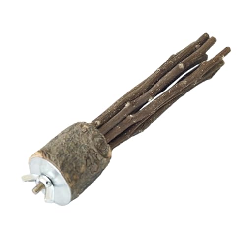 Holzpapagei Papageienperch Vogel Nagel Trimmbecher Parrot Stand Stick Naturholz für Käfig Vogelpfoten Schleifstab für Sittiche Cockatiels Conures Macaws Blockier von szaluyk