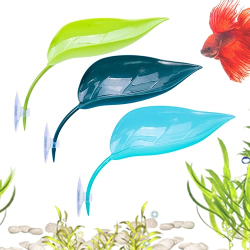 Saugnapfbecher Frog Barch - Realistische Dekoration und Kletterplattform für Frösche, Geckos und kleine Reptilien, starken Saugnäpfeln, langlebig und sicher für Terrarien Saugnapfbecher Frog Barch - Realistische Dekoration und Kletterplattform für Frösche, Geckos und kleine Reptilien, starken Saugnäpfeln, langlebig und sicher für Terrarien von szaluyk