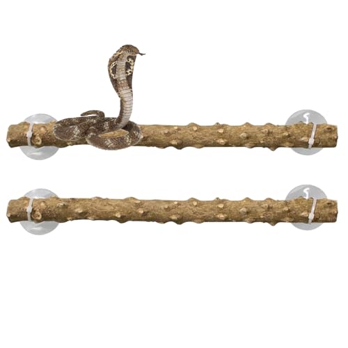 Schlangenkletterzweig | Reptilienerecke Zweig | Echsenkletterstange | 2PCS -Zweige Für Reptilien | Stabiles Reptilien -Panzerzubehör | Stabile Reptilienkletterdekor Für Schlangen Eidechsen Bärtige Dra Schlangenkletterzweig | Reptilienerecke Zweig | Echsenkletterstange | 2PCS -Zweige Für Reptilien | Stabiles Reptilien -Panzerzubehör | Stabile Reptilienkletterdekor Für Schlangen Eidechsen Bärtige Dra von szaluyk