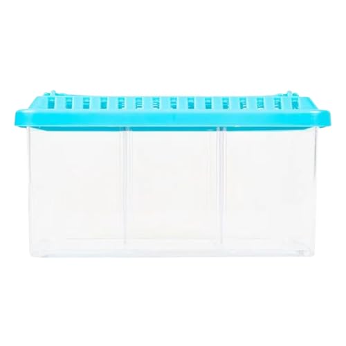 Schreibtisch Fischtank | Betta Aquarium | Betta -Fischtank | Transparentes Fischaquarium Mit Abnehmbaren Trennwänden | Kleine Fischschale Mehrfach -Layout -Zieraquarium -Starter -Kit Für Zuhau Schreibtisch Fischtank | Betta Aquarium | Betta -Fischtank | Transparentes Fischaquarium Mit Abnehmbaren Trennwänden | Kleine Fischschale Mehrfach -Layout -Zieraquarium -Starter -Kit Für Zuhau von szaluyk
