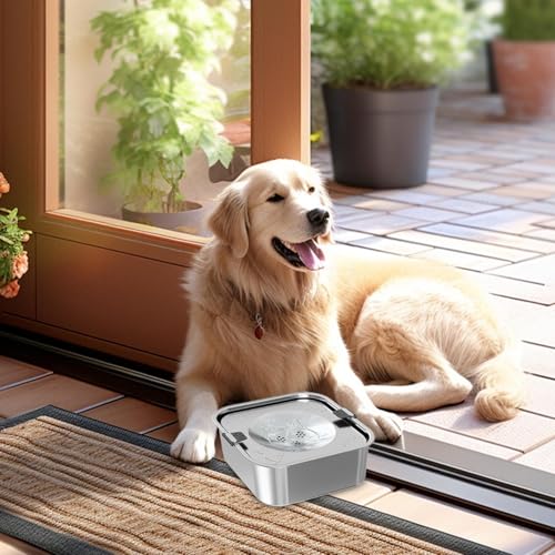 Wasserschale für Hund | Spritzproof Schwimmschale | Edelstahl Non -Spill 3L Haustierwasserschalen, Haustierversorgungen für Welpen Senior Ferret Slow Feeder Home Patio Car Kennel Kiste Outdoor Yard von szaluyk
