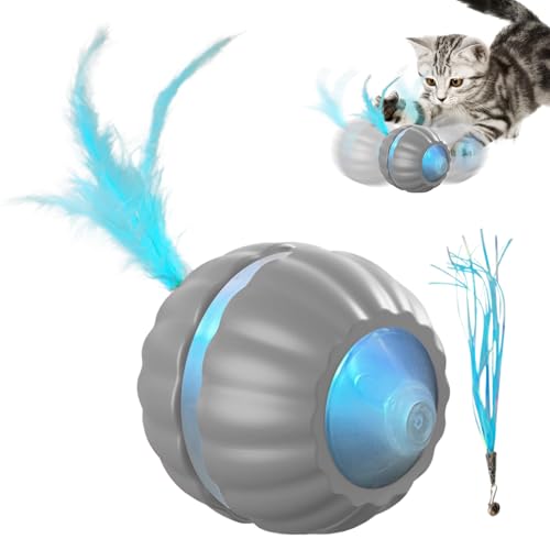 szaluyk Bewegliches Katzenspielzeug | Anregendes Spielzeug Rollball | Beweglicher Ball Für Kitten Und Hunde Zur Beschäftigung Bewegung Jagdtraining von szaluyk