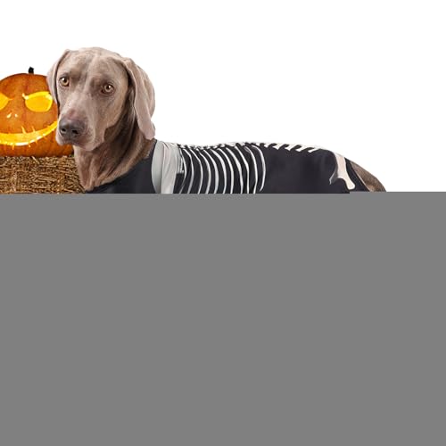 szaluyk Halloween Kostüme Für Hunde - Skelett Hundekleidung,Welpen Ganzkörperkostüm Für Alltag Feiern Reisen Freunde Zuhause von szaluyk