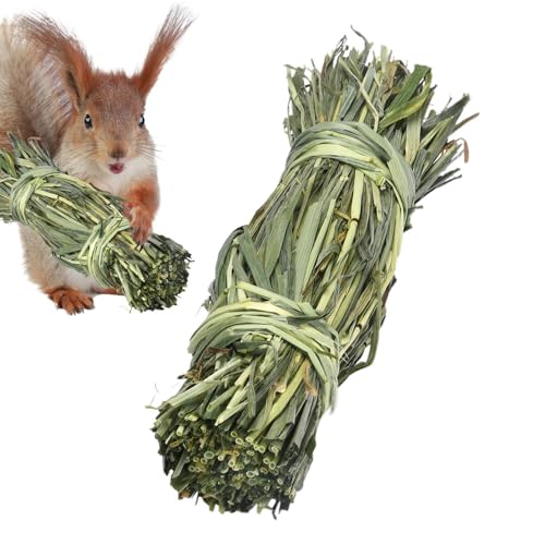 szaluyk Kaninchen Kauspielzeug - Hamstergrasball | Grasball für Meerschweinchen | bissfeste Kleintier-Leckerlis | Nagespaß | Kaninchen Hamster Meerschweinchen für Kaninchen, Eichhörnchen, Chinchilla szaluyk Kaninchen Kauspielzeug - Hamstergrasball | Grasball für Meerschweinchen | bissfeste Kleintier-Leckerlis | Nagespaß | Kaninchen Hamster Meerschweinchen für Kaninchen, Eichhörnchen, Chinchilla von szaluyk