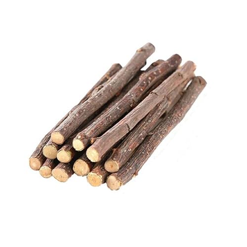 szvbofueck 20er-Pack Haustier-Kauspielzeug für Tiere, Backenzahnspielzeug für Kaninchen, Schweine, Hamster, Eichhörnchen Cooles Hundehalsband (Khaki, One Size) von szvbofueck