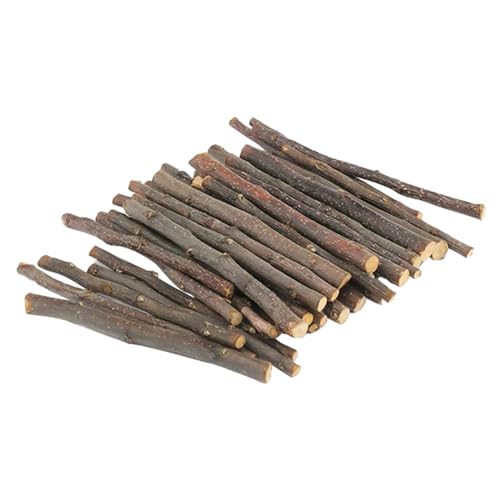 szvbofueck 40er-Pack Haustier-Kauspielzeug für Tiere, Backenzahnspielzeug für Kaninchen, Schweine, Hamster, Eichhörnchen Hundehalsband Neopren Gepolstert (Khaki, One Size) von szvbofueck