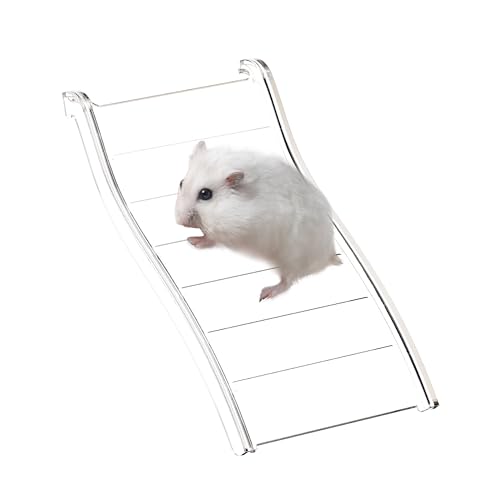 tafit Hamsterleiterbrücke – wasserdichtes Kunststoff-Kletterspielzeug, mehrfarbiges Spiel und Dekoration für Hamster, Rennmäuse, Mäuse und Kleintiere (transparent, 19 cm) von tafit