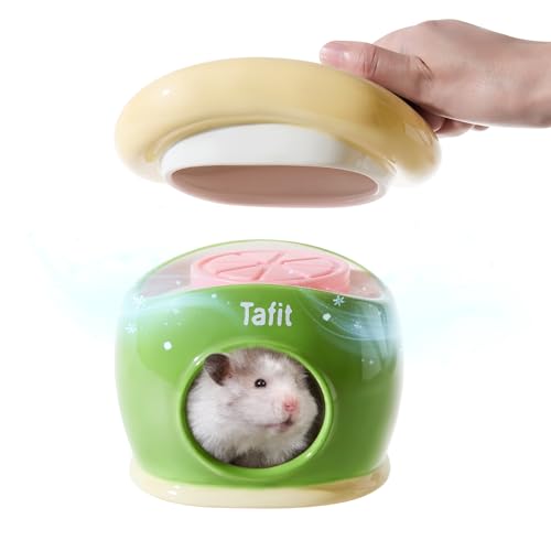 tafit Keramik-Iglu-Hamsterversteck – Kleintier-Lebensraum Dekor Hütte für Syrische & Zwerghamster, Rennmäuse, Mäuse, Ratten – Haus mit Eisbox (Grün) von tafit