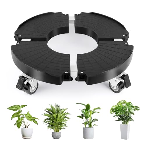 Pflanzenroller Ø 35-48cm, Rollbrett Pflanzen bis 150 KG, Blumenroller Rund mit 360 ° Drehbare Rädern, Untersetzer Blumentopf Gross Pflanzentopf für Große Pflanzgefäße im Innen und Außenbereich Pflanzenroller Ø 35-48cm, Rollbrett Pflanzen bis 150 KG, Blumenroller Rund mit 360 ° Drehbare Rädern, Untersetzer Blumentopf Gross Pflanzentopf für Große Pflanzgefäße im Innen und Außenbereich von talifoca
