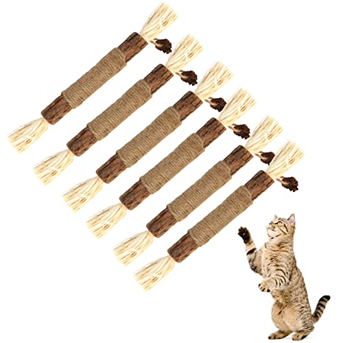 tao Pipe 6 Stück Katzenminze Sticks, Katzen Sticks Catnip Kausticks Interaktives Katzenspielzeug, Katzen Kauhölzer Silvervine Sticks zur Katzen Zahnpflege und Gegen Mundgeruch von tao pipe