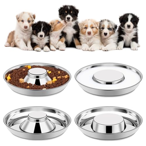 4 Stück Edelstahl-Welpennäpfe für Welpen, Futternäpfe für Katzenstreu, 30 cm, Metall-Hundenapf und Wassernapf, Set für kleine Hunde und Katzen, Welpen-Futterspender für mehrere Welpen, Welpen-Zubehör 4 Stück Edelstahl-Welpennäpfe für Welpen, Futternäpfe für Katzenstreu, 30 cm, Metall-Hundenapf und Wassernapf, Set für kleine Hunde und Katzen, Welpen-Futterspender für mehrere Welpen, Welpen-Zubehör von tchrules
