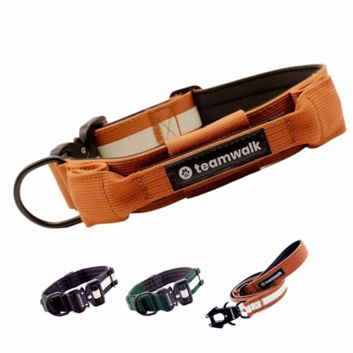 teamwalk® Premium Hundehalsband - mit Magnetgriff, Leuchtstreifen, Air-Tag Tasche, individuell einstellbar, weiche Polsterung, robuste Schnalle, mit passender Leine erhältlich(Rostrot, L) von teamwalk