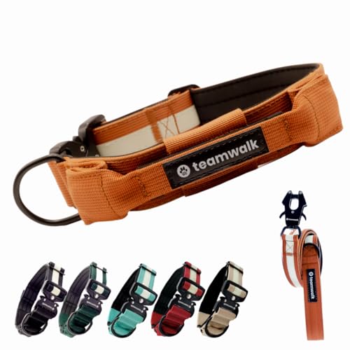 teamwalk® Premium Hundehalsband - mit Magnetgriff, Leuchtstreifen, Air-Tag Tasche, individuell einstellbar, weiche Polsterung, robuste Schnalle, mit passender Leine erhältlich(Rostrot, L) von teamwalk