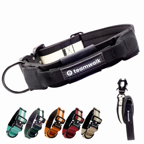 teamwalk® Premium Hundehalsband - mit Magnetgriff, Leuchtstreifen, Air-Tag Tasche, individuell einstellbar, weiche Polsterung, robuste Schnalle, mit passender Leine erhältlich(Schwarz, S) von teamwalk