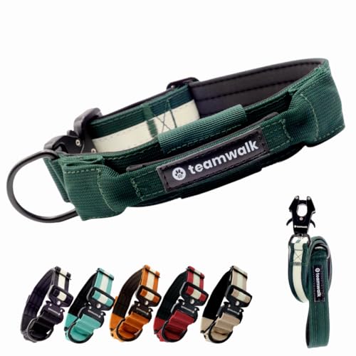 teamwalk® Premium Hundehalsband - mit Magnetgriff, Leuchtstreifen, Air-Tag Tasche, individuell einstellbar, weiche Polsterung, robuste Schnalle, mit passender Leine erhältlich(Waldgrün, S) von teamwalk