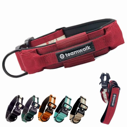 teamwalk® Premium Hundehalsband - mit Magnetgriff, Leuchtstreifen, Air-Tag Tasche, individuell einstellbar, weiche Polsterung, robuste Schnalle, mit passender Leine erhältlich, JETZT NOCH Leichter(L) von teamwalk