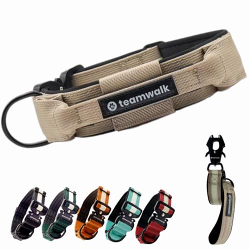 teamwalk® Premium Hundehalsband - mit Magnetgriff, Leuchtstreifen, Air-Tag Tasche, individuell einstellbar, weiche Polsterung, robuste Schnalle, mit passender Leine erhältlich, JETZT NOCH Leichter(M) von teamwalk
