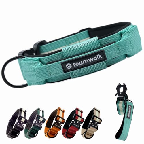 teamwalk® Premium Hundehalsband - mit Magnetgriff, Leuchtstreifen, Air-Tag Tasche, individuell einstellbar, weiche Polsterung, robuste Schnalle, mit passender Leine erhältlich, JETZT NOCH Leichter(M) von teamwalk