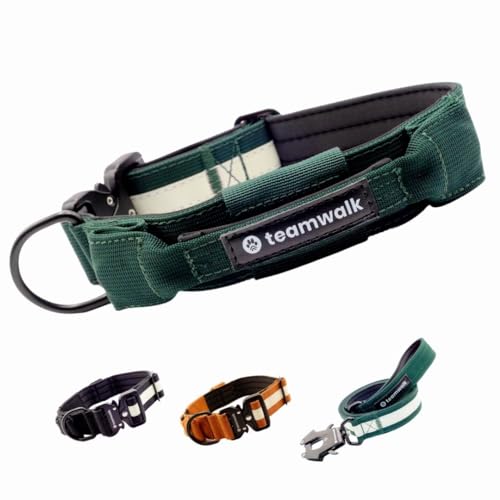 teamwalk® Premium Hundehalsband - mit Magnetgriff, Leuchtstreifen, Air-Tag Tasche, individuell einstellbar, weiche Polsterung, robuste Schnalle, mit passender Leine erhältlich (Waldgrün, L) von teamwalk