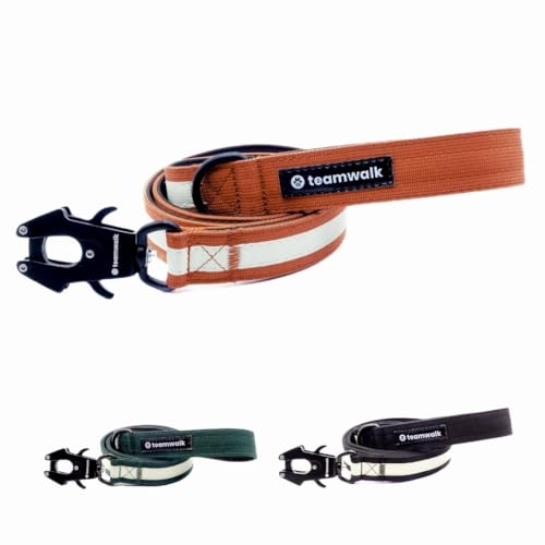 teamwalk® Premium Hundeleine - mit Leuchtstreifen, weicher Polsterung, robuster Schnalle, (Rostrot, 130cm) von teamwalk