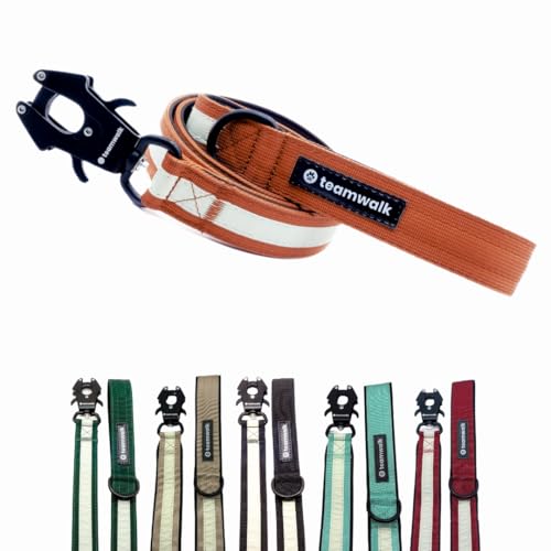 teamwalk® Premium Hundeleine - mit Leuchtstreifen, weicher Polsterung, robuster Schnalle, (Rostrot, Leine Rostrot(130cm)) - perfekt abgestimmte Länge, für eine Gute Leinenführichkeit. von teamwalk