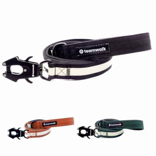 teamwalk® Premium Hundeleine - mit Leuchtstreifen, weicher Polsterung, robuster Schnalle, (Schwarz, 130cm) von teamwalk